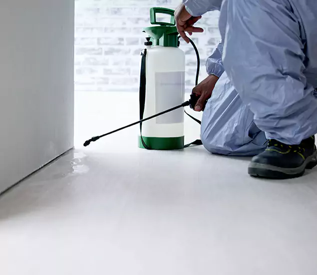 Affordable Pest Control Experts in Novi, MI