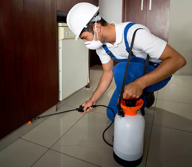 Advanced Termite Pre Treatment Experts in Novi, MI
