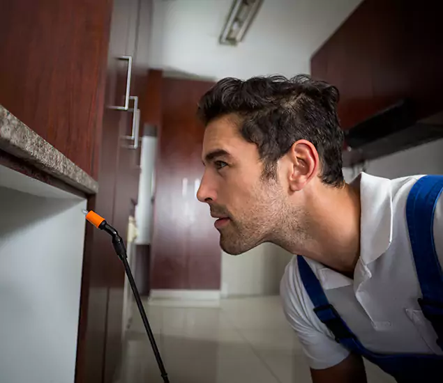Expert Rodent in Attic Removal: Your Proven Pest Specialists in Novi, MI