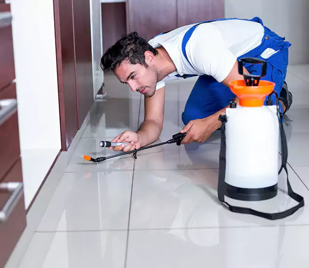 Advanced Slab Termite Treatment Experts You Can Trust&nbsp;in Novi, MI