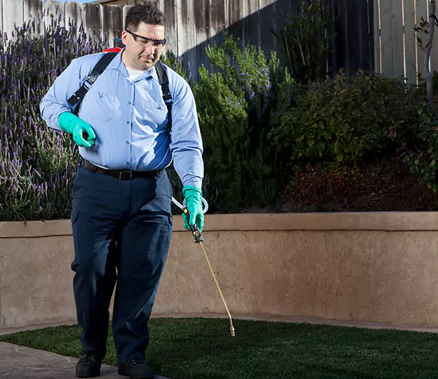 Reliable Termite Barrier Treatment Experts in Novi, MI