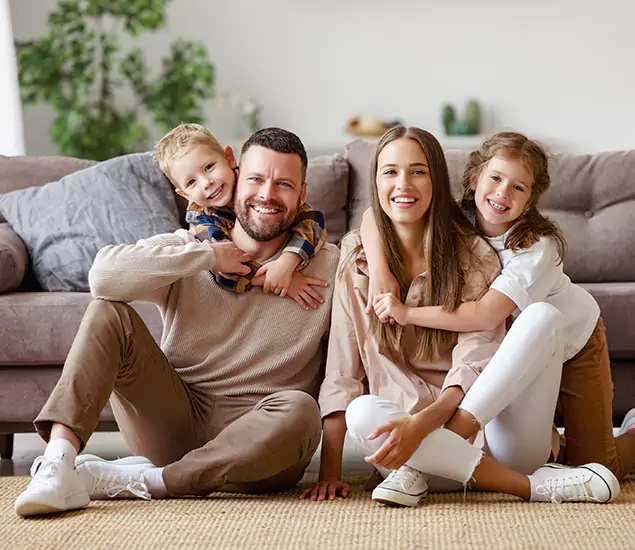 About Our Termite Control Services in Novi, MI