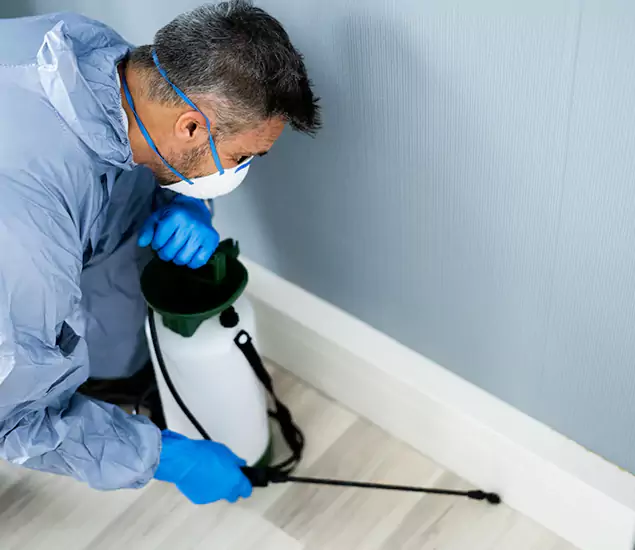 Reliable Termite Cost Experts in Novi, MI