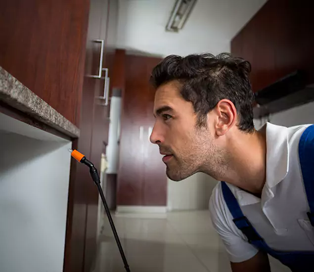 Termite Inspection Cost Experts You Can Trust in Novi, MI