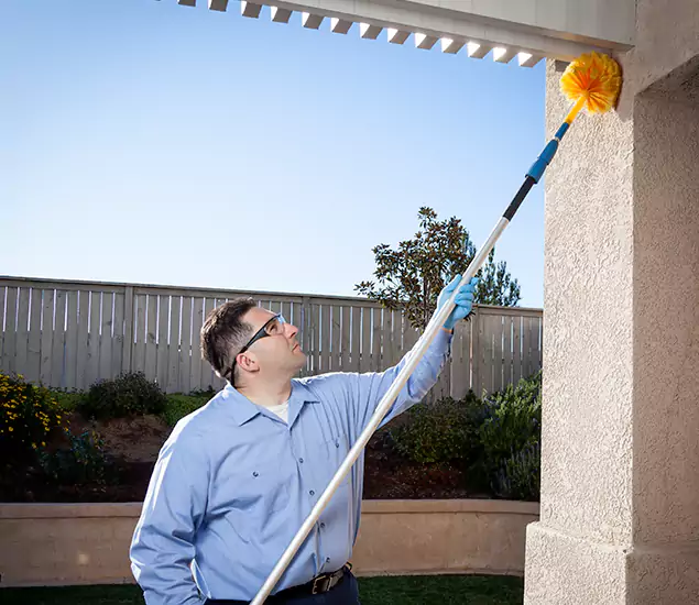 Your Trusted Wasp Removal Company in Novi, MI