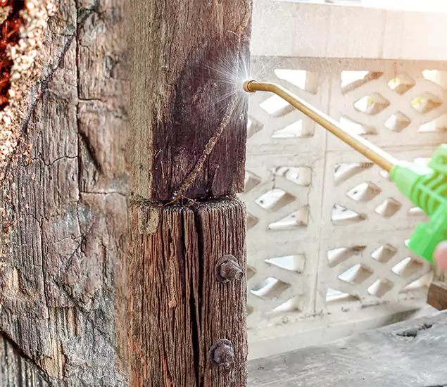 About Wood Termite Treatment Services in Novi, MI