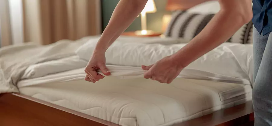 Bed Bug Extermination Services in Novi