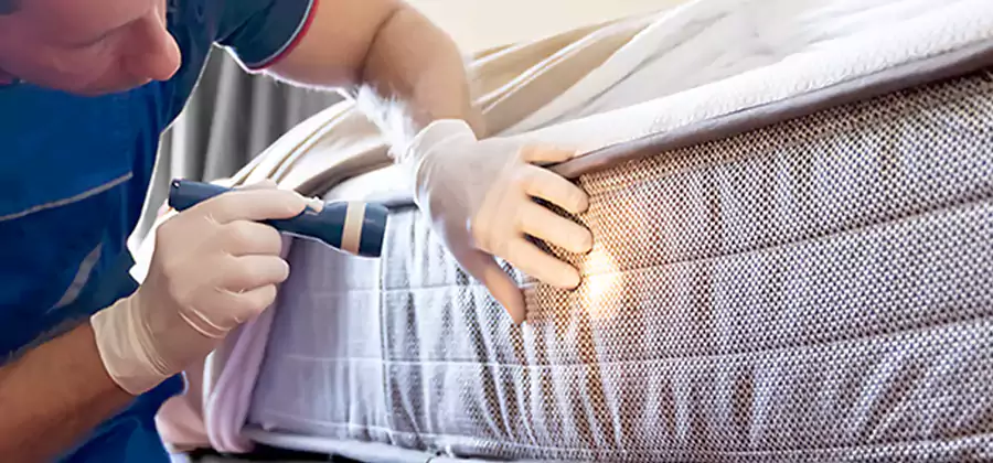 Residential Bed Bug Treatment Cost in Novi