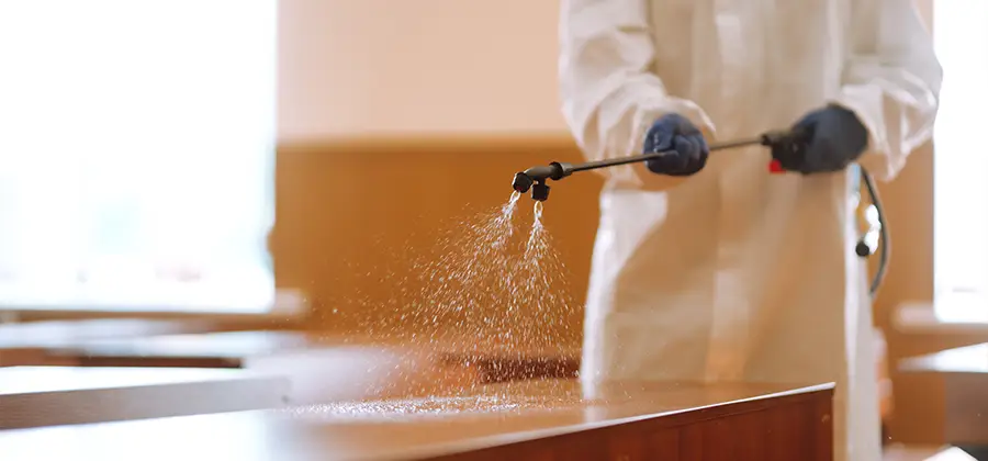 Residential Bed Bug Treatment Option in Novi