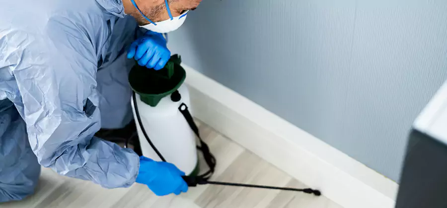 Fumigate Apartment Roaches in Novi