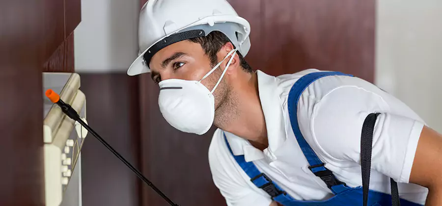 Injection Foam Treatment for Drywood Termites in Novi