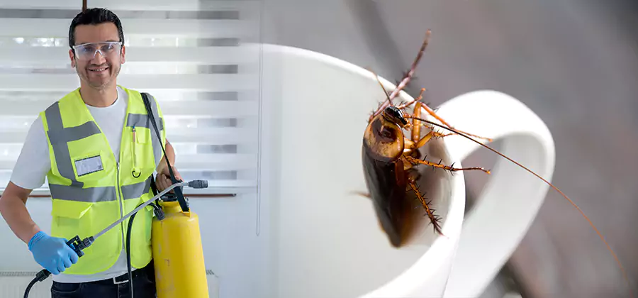 German Roach Infestation Treatment Novi