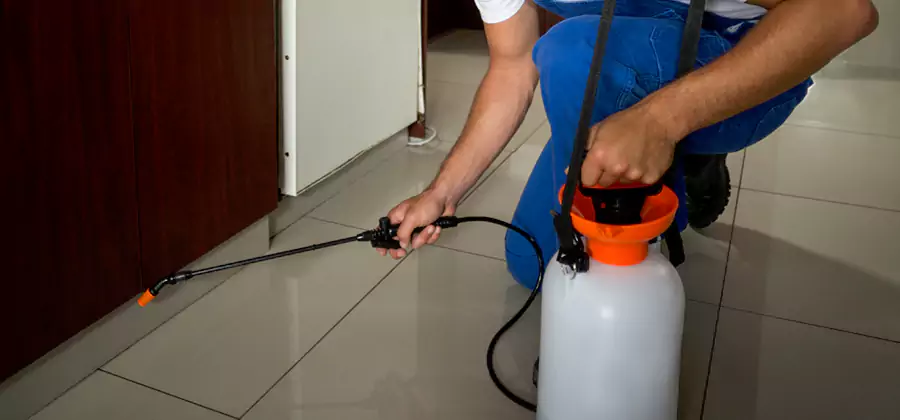 Indoor Mosquito Treatment in Novi