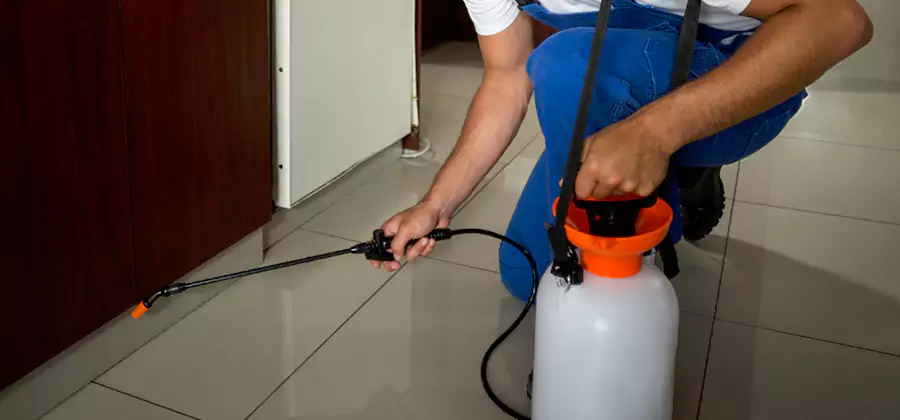 Indoor Insect Killer Solutions in Novi