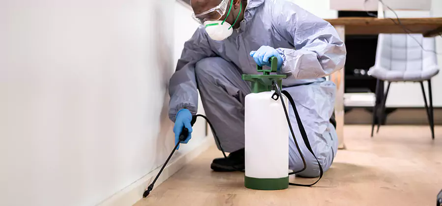 Long Lasting Mosquito Treatment in Novi