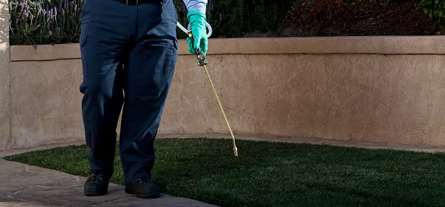 Soil Treatment for New Construction Termites in Novi