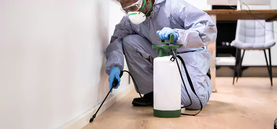No Tent Termite Extermination With Electric Tool in Novi