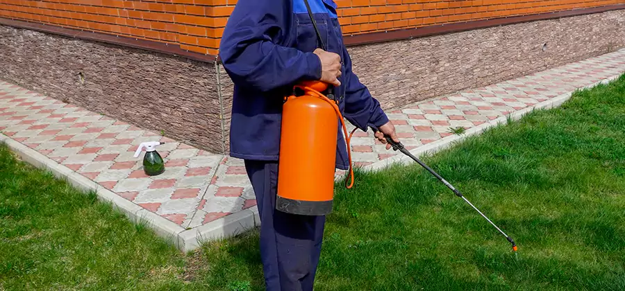 Non Toxic Termite Treatment in Novi