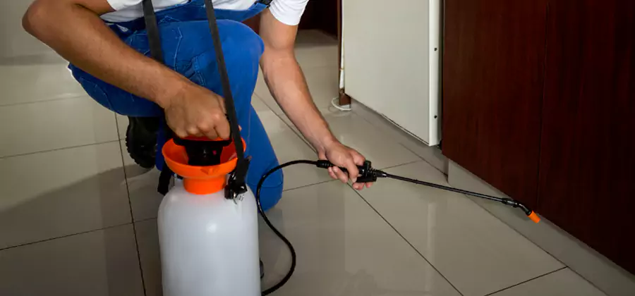 One Time Termite Control in Novi