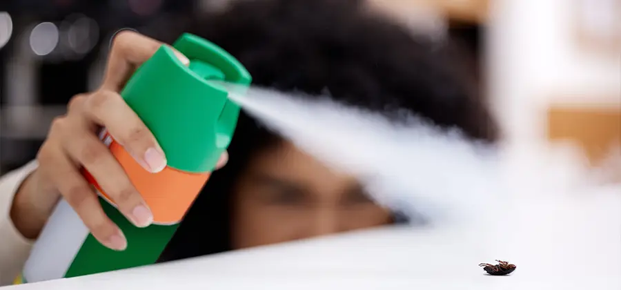 Child Safe Bed Bug Treatment in Novi