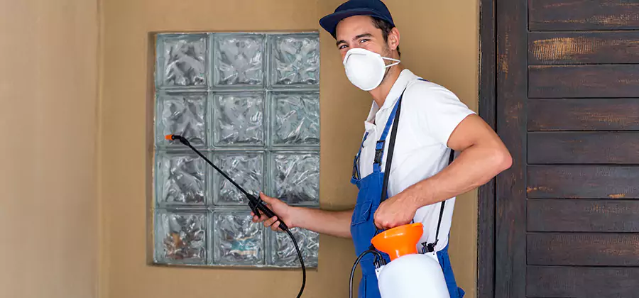 Physical Termite Barrier Installation in Novi