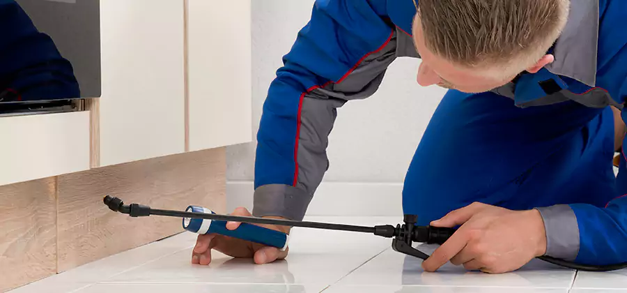 Moisture Treatment For Termite Control Service in Novi