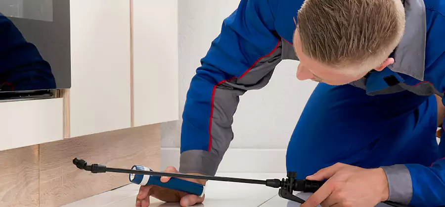 Annual Termite Inspection Cost in Novi