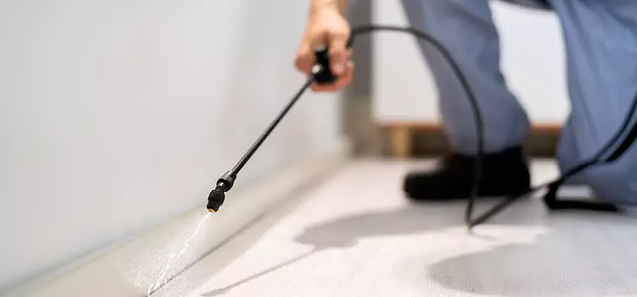 Direct Termite Injection Treatment in Novi