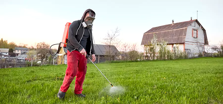 Flea and Tick Pest Control in Novi