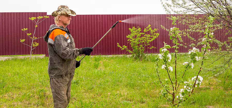 Flea and Tick Spray for Yard in Novi
