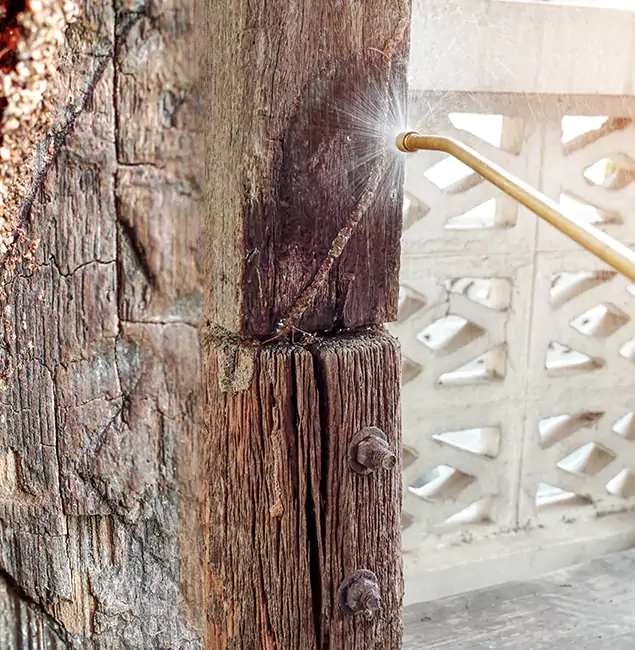 Why Choose Novi Pest Control Pro for Attic Termite Treatment in Novi, MI?