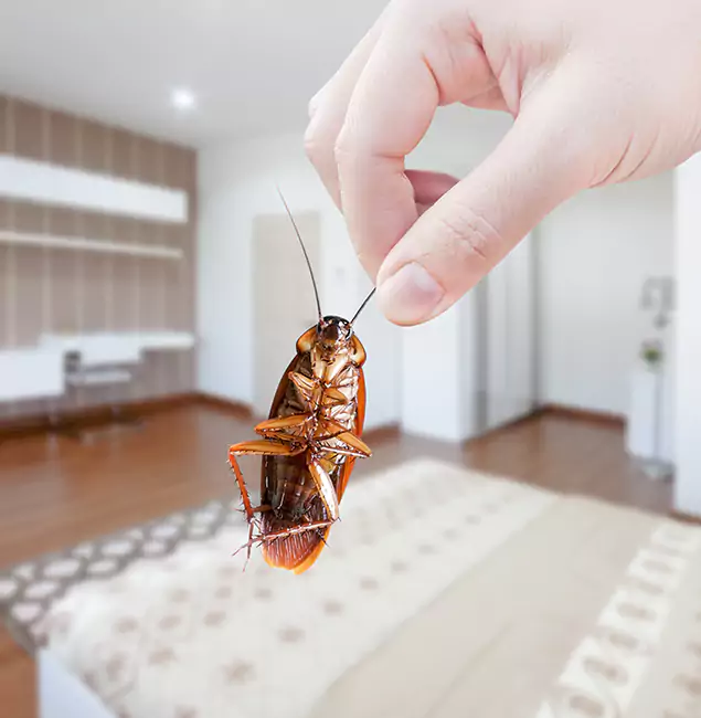 Why Novi Pest Control Pro Stand Out for Bed Bug Fumigation in Novi, MI?