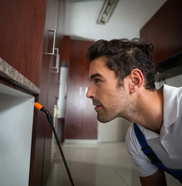 Why Choose Novi Pest Control Pro for Bed Bug Removal Cost in Novi, MI?