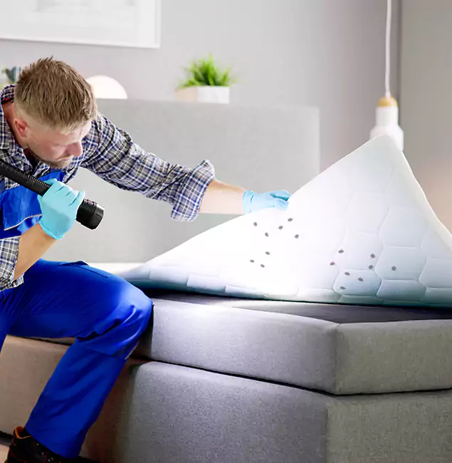 Why Choose Novi Pest Control Pro in Novi, MI?