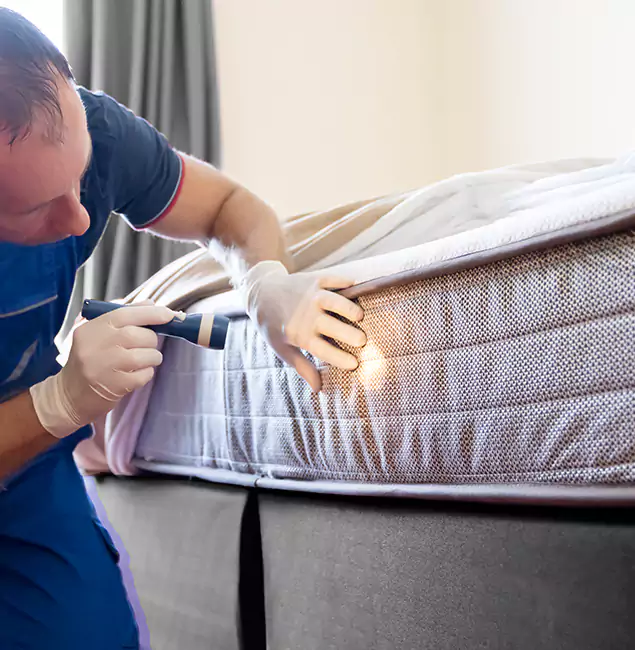 Why Choose Novi Pest Control Pro for Bed Bug Services in Novi, MI?
