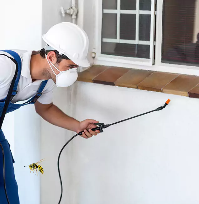 Why Novi Property Owners Choose Novi Pest Control Pro for Bee Nest Removal?