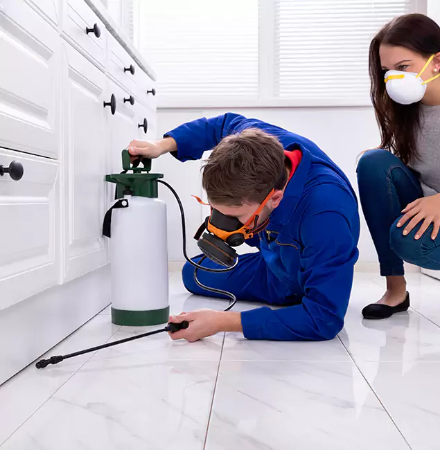 Why Choose Novi Pest Control Pro in Novi, MI?