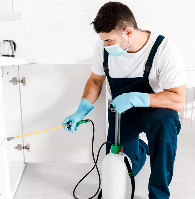 Why Choose Novi Pest Control Pro for Emergency Pest Control in Novi?