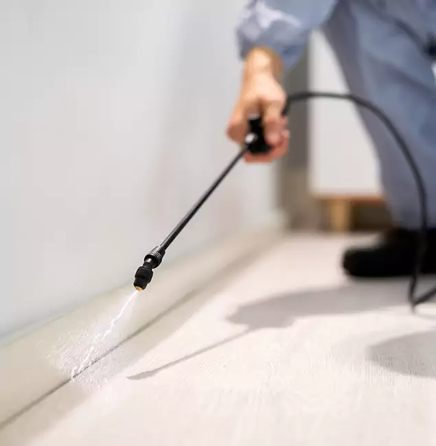 Why Choose Novi Pest Control Pro for Termite Treatment in Novi, MI?