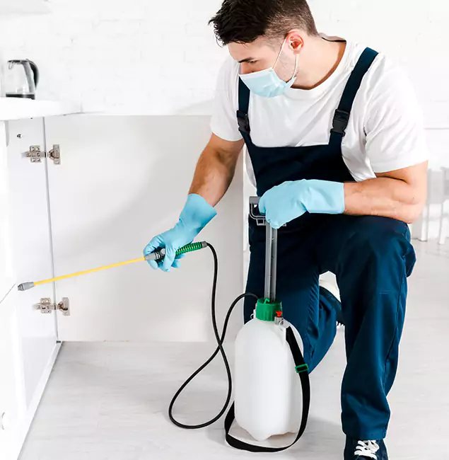 Why Novi, MI Homeowners Trust Us for German Roach Control?