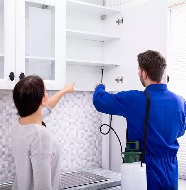 Why Novi Property Owners Choose Novi Pest Control Pro for Ground Bee Removal?
