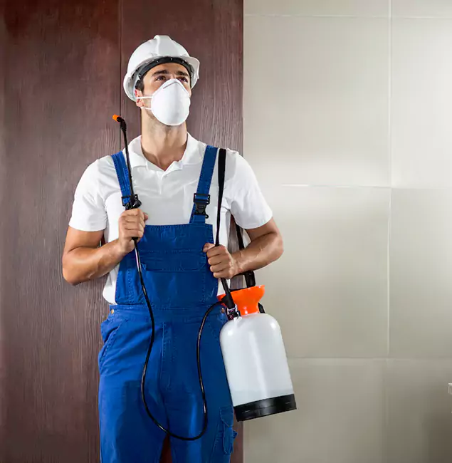 Why Choose Us for Heat Treatment for Termites in Novi, MI?