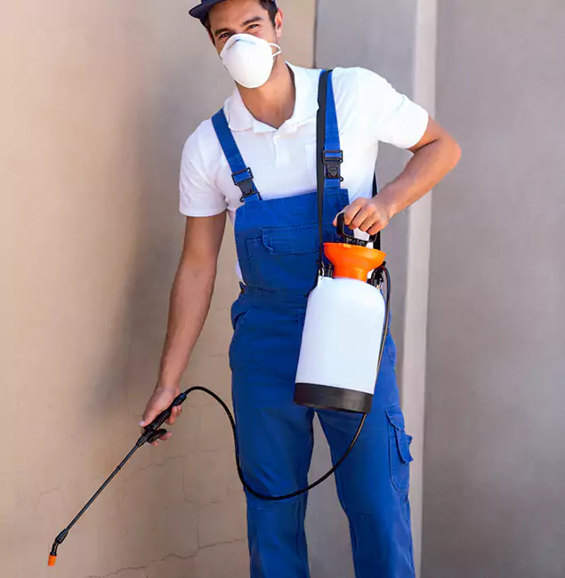 What Makes Novi Pest Control Pro the Right Choice in Novi, MI?