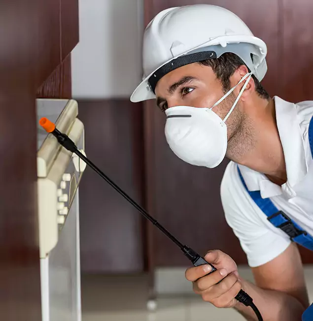 Why Novi Homeowners Rely on Novi Pest Control Pro for Tick Treatment?