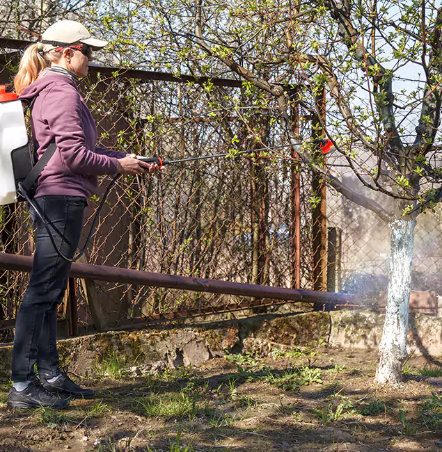 Why Novi Homeowners Choose Novi Pest Control Pro for Mosquito Abatement?
