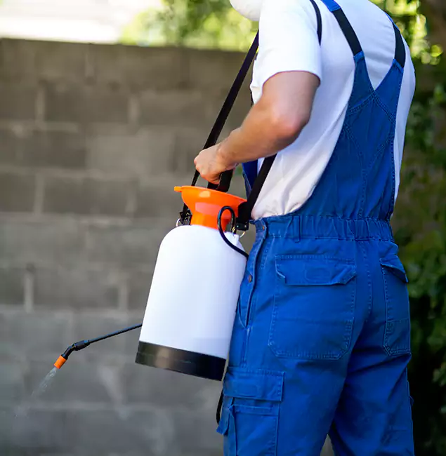 Why Novi Homeowners Rely on Novi Pest Control Pro for Mosquito Control?
