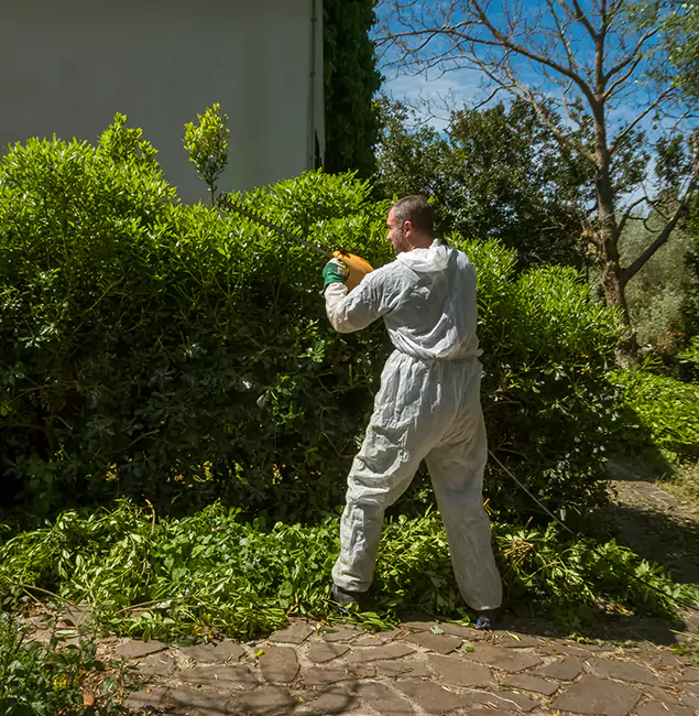 Why Novi Pest Control Pro Leads Mosquito Control in Novi, MI?