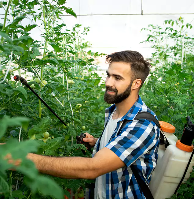 Why Novi Homeowners Choose Novi Pest Control Pro for Mosquito Spraying?