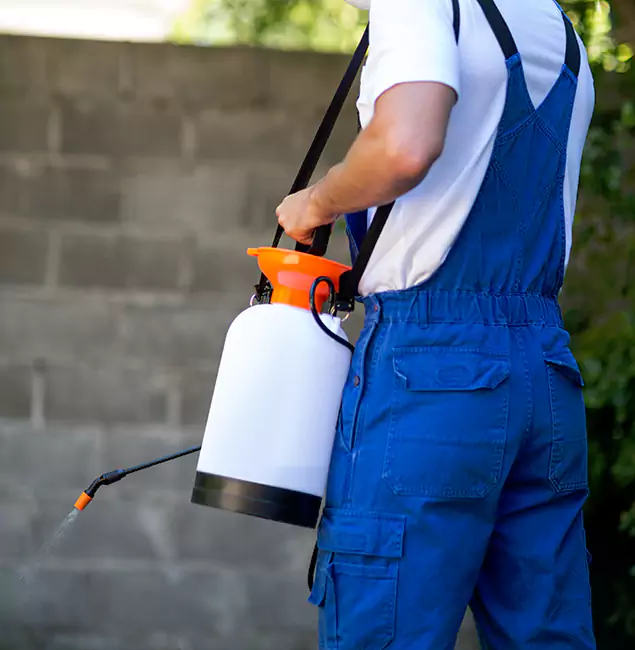 Why Novi Pest Control Pro Delivers the Best Mosquito Control in Novi, MI?