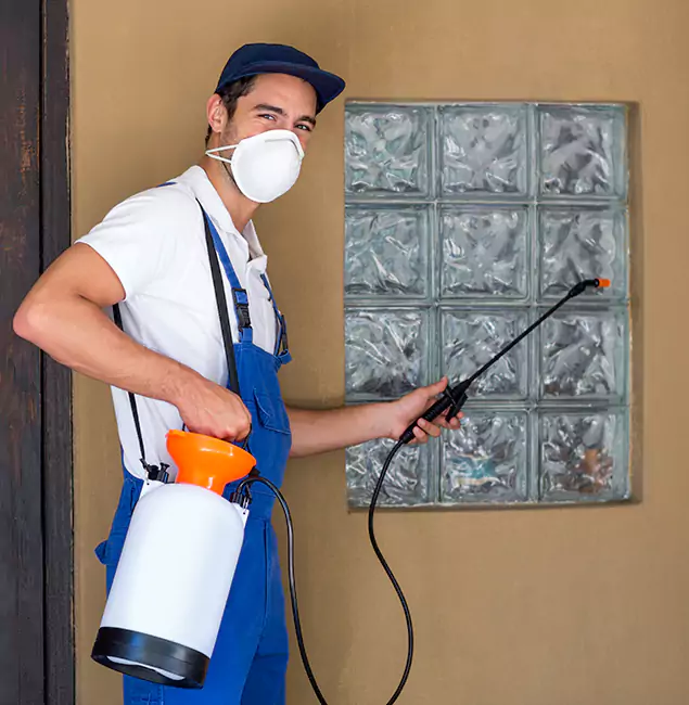 Why Novi Pest Control Pro Provides the Best Mosquito Control for Yard Properties in Novi, MI?